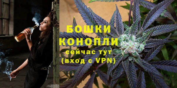 PSILOCYBIN Струнино