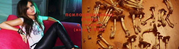 экстази Тайга