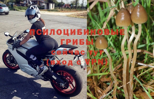 экстази Тайга