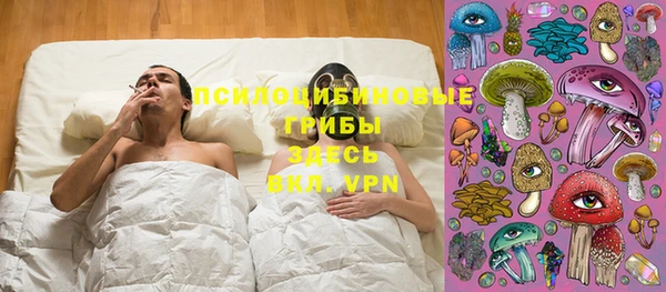 экстази Тайга