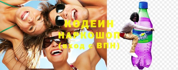 индика Ступино