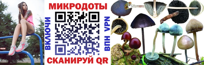 Псилоцибиновые грибы Magic Shrooms где найти наркотики Муром