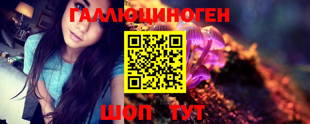 Муром  Псилоцибиновые грибы MAGIC MUSHROOMS  Псилоцибиновые грибы мицелий  Вход с VPN 